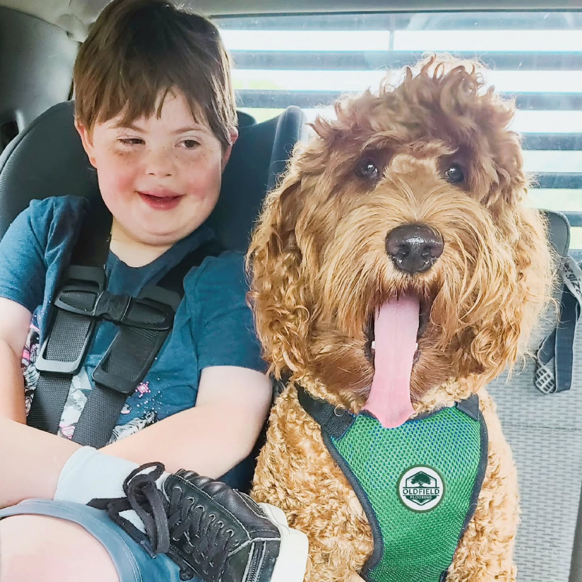 Floor renovation project